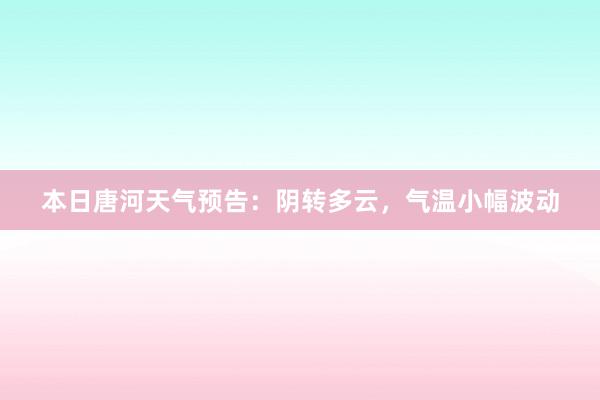 本日唐河天气预告：阴转多云，气温小幅波动