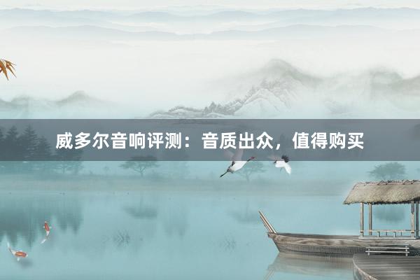 威多尔音响评测：音质出众，值得购买