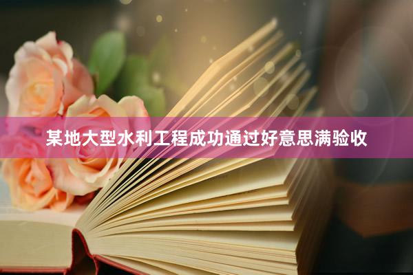某地大型水利工程成功通过好意思满验收